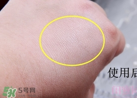 canmake花瓣高光怎么用？canmake花瓣雕刻高光使用方法