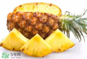 菠蘿批發(fā)多少錢一斤？菠蘿批發(fā)價格