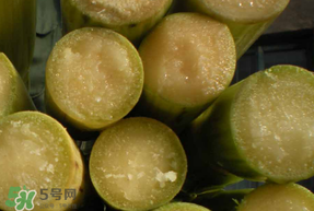 甘蔗要洗嗎？吃甘蔗時要用鹽水洗嗎？