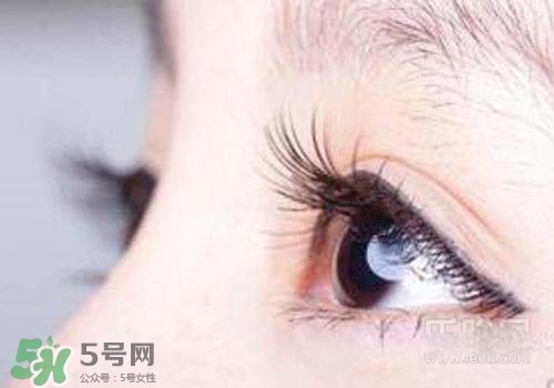 孕睫毛是永久的嗎？孕睫毛可以保持多久？