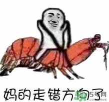 說人皮皮蝦是什么意思？女生叫男生皮皮蝦什么意思？