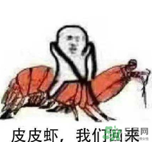 說人皮皮蝦是什么意思？女生叫男生皮皮蝦什么意思？