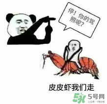 皮皮蝦為何突然火了？皮皮蝦怎么火的？
