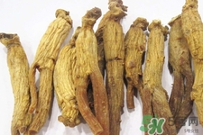 高麗參適合什么人吃？什么人不能吃高麗參？