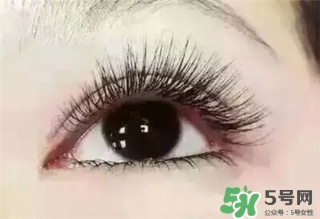 孕睫術(shù)是什么？孕睫術(shù)有用嗎？