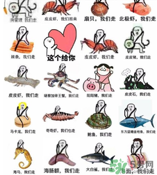 用皮皮蝦罵人什么意思？罵人皮皮蝦什么意思？