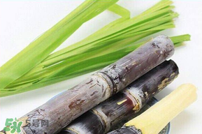 甘蔗發(fā)霉能吃嗎？吃了發(fā)霉的甘蔗怎么辦？