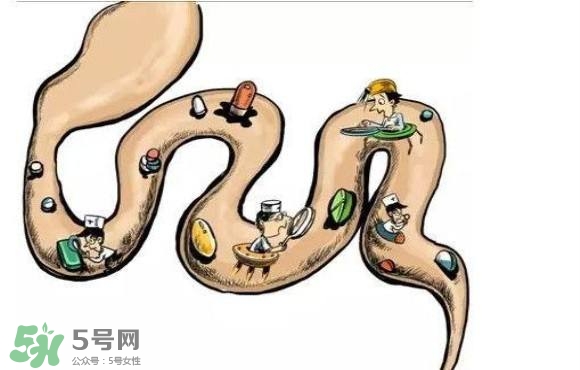 便秘吃什么藥好？便秘吃什么藥最快排便？