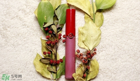 肉桂色口紅哪個(gè)牌子好？肉桂色口紅推薦