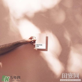肉桂色口紅哪個(gè)牌子好？肉桂色口紅推薦
