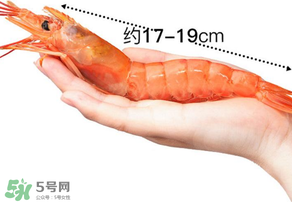 活蝦灌膠水是真的嗎？活蝦灌膠水人吃了會有什么害處？