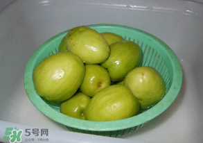 一斤青棗的熱量是多少？吃一斤青棗會胖嗎？