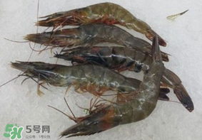青蝦變黑了還能吃嗎？青蝦為什么變黑？