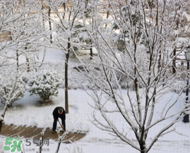 春天下雪意味著什么？春天為什么會下雪？