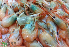 蝦變綠了能吃嗎？凍蝦變綠了能吃嗎？