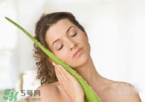 蘆薈涂在臉上發(fā)癢是怎么回事？蘆薈涂在臉上發(fā)癢怎么辦？