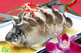 魚有禽流感嗎？吃魚會得禽流感嗎？