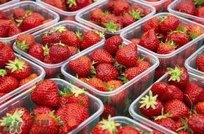 草莓爛了點皮可以吃嗎？草莓表皮發(fā)白是爛了嗎？