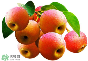 南國梨為什么有酒味？南果梨有酒味能吃嗎？
