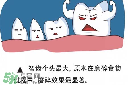智齒經(jīng)常發(fā)炎怎么辦？智齒反復(fù)發(fā)炎腫痛怎么辦？