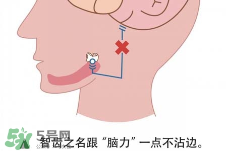 智齒會引起耳鳴嗎？耳鳴跟智齒有關系嗎？