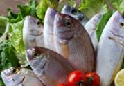 魚(yú)有禽流感嗎？吃魚(yú)會(huì)得禽流感嗎？