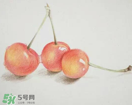 櫻桃有點苦怎么回事？櫻桃有點苦可以吃嗎？