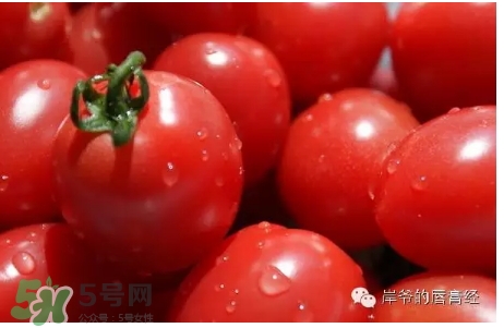 番茄紅口紅哪個牌子好？番茄色口紅推薦