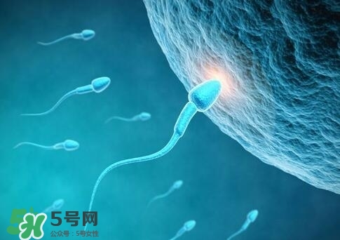 如何提高精子質(zhì)量與成活率？精子質(zhì)量怎么調(diào)理？