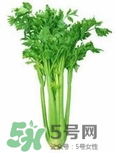 負(fù)卡路里的食物有哪些？負(fù)卡路里食物真的吃不胖嗎？
