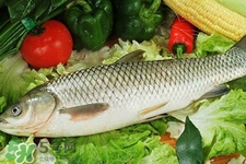 草魚能生吃嗎？草魚可以直接生吃嗎？