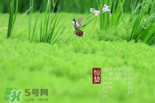驚蟄吃什么蔬菜好？驚蟄節(jié)氣養(yǎng)生吃什么蔬菜？