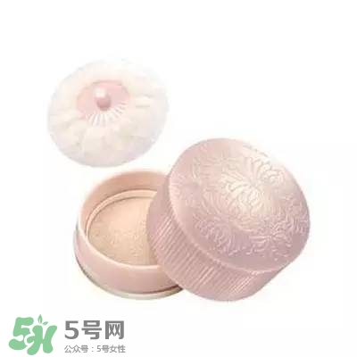 2017珠光散粉哪個牌子好？2017珠光散粉推薦