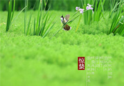 驚蟄吃什么蔬菜好？驚蟄節(jié)氣養(yǎng)生吃什么蔬菜？