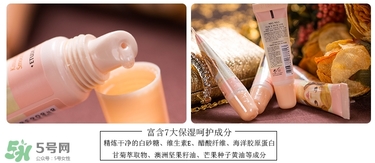 愛麗小屋唇部磨砂膏怎么用？愛麗小屋唇部去角質(zhì)磨砂膏用法