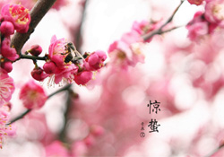 驚蟄如何養(yǎng)生？驚蟄前后如何養(yǎng)生？