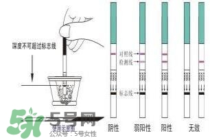 驗孕試紙準(zhǔn)嗎？驗孕試紙怎么看求圖解