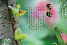 驚蟄節(jié)氣要注意什么？驚蟄節(jié)氣養(yǎng)生注意事項