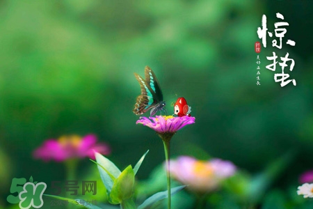驚蟄節(jié)氣要注意什么？驚蟄節(jié)氣養(yǎng)生注意事項