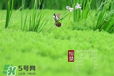 驚蟄如何養(yǎng)生？驚蟄前后如何養(yǎng)生？