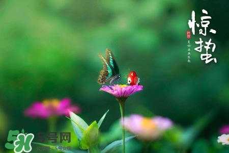 驚蟄如何養(yǎng)生？驚蟄前后如何養(yǎng)生？