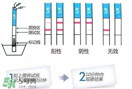 早孕試紙什么時(shí)候測(cè)最準(zhǔn)？早孕試紙什么時(shí)候可以測(cè)出來(lái)