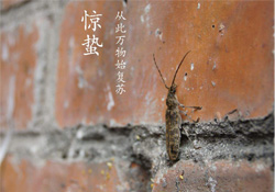 驚蟄可以去掃墓嗎？驚蟄可以去上墳嗎？