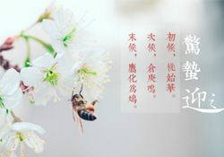 驚蟄怎么打小人？驚蟄如何打小人？