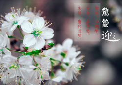 驚蟄為何要打小人？驚蟄為什么要打小人？