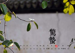 驚蟄可以動針線嗎？驚蟄為什么不動針線？