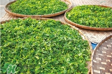 4月份喝什么茶好？四月份適合喝什么茶？
