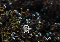 驚蟄節(jié)氣要注意什么？驚蟄節(jié)氣養(yǎng)生注意事項(xiàng)
