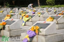 3月份可以掃墓嗎？三月份可以上墳嗎？