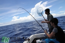 三月份可以釣魚了嗎？三月份好釣魚嗎？